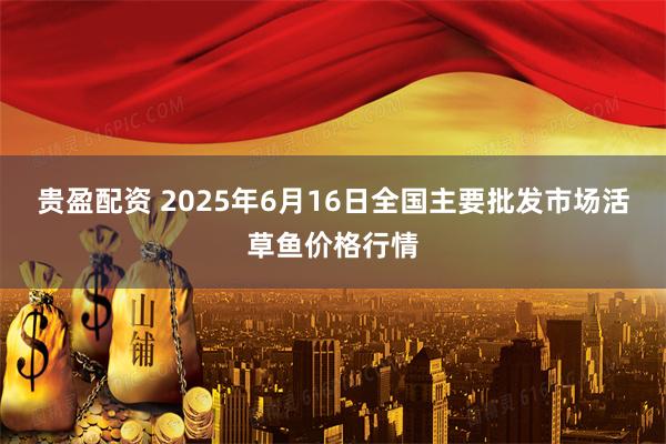 贵盈配资 2025年6月16日全国主要批发市场活草鱼价格行情