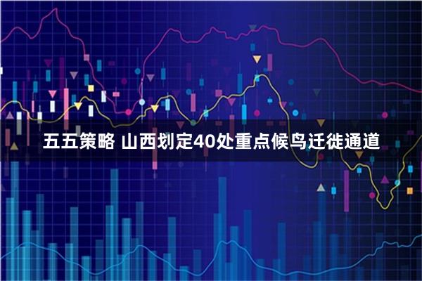 五五策略 山西划定40处重点候鸟迁徙通道