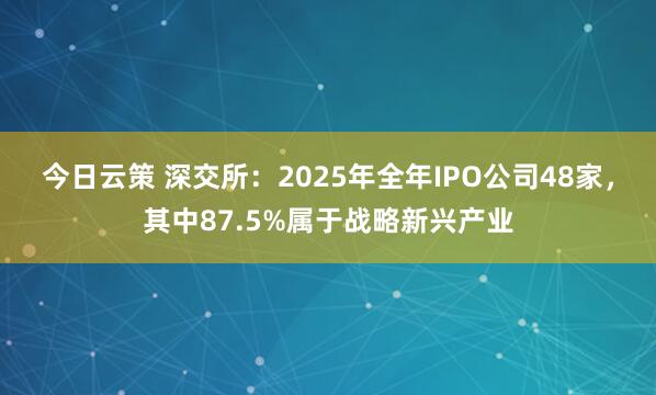 今日云策 深交所：2025年全年IPO公司48家，其中87.5%属于战略新兴产业